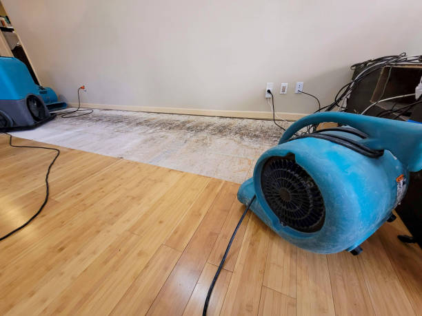 Professional Ceiling Water Damage Repair technician working in Saint Henry, OH
